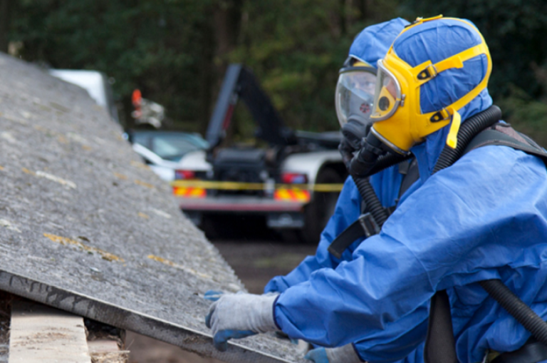 Asbestos visual data 5